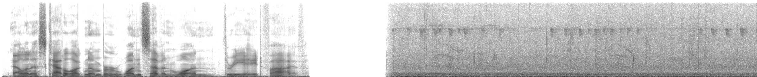 Чернохохлый колючник [группа canadensis] - ML171385