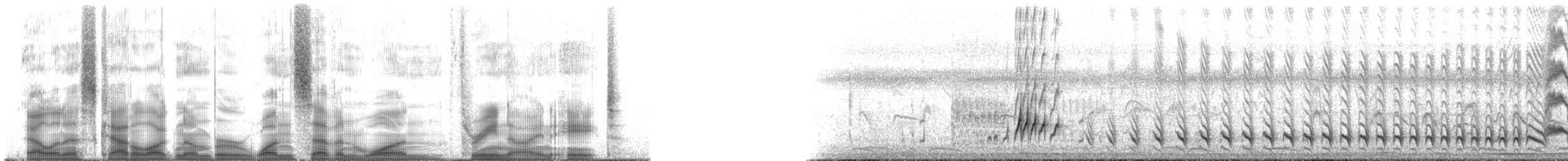 Boz Alınlı Sinekkapan (tyrannulus/bahiae) - ML171398