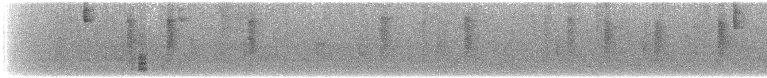 Пестрохвостая эферуса - ML171415031
