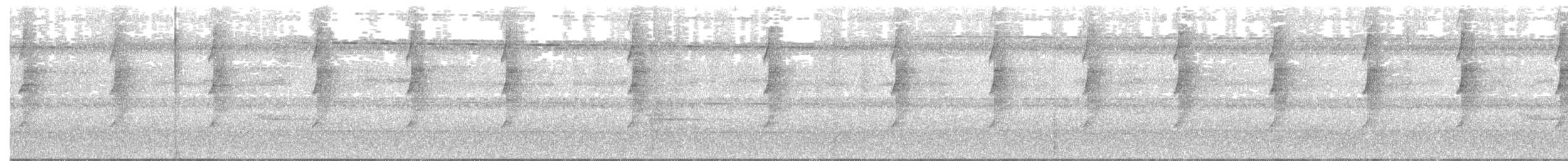 Длинноклювый колибри-отшельник [группа longirostris] - ML171417731