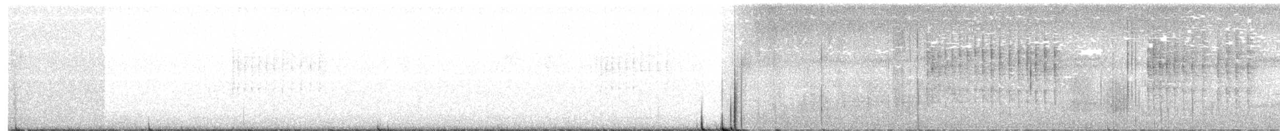 Белогрудый крапивник [группа prostheleuca] - ML171418501