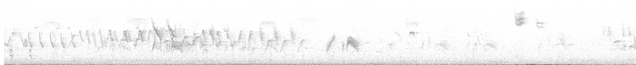 Ивовый мухолов - ML171464381