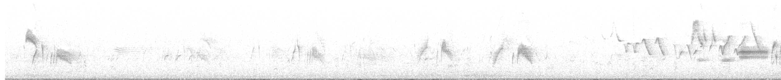 Піві-малюк вербовий - ML171464401