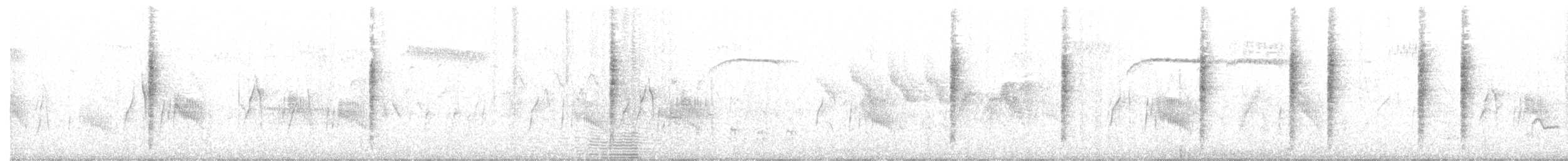 Піві-малюк вербовий - ML171464461
