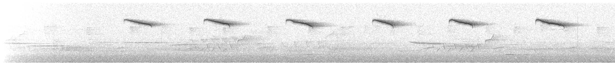 Дрізд-короткодзьоб плямистоволий - ML171504161
