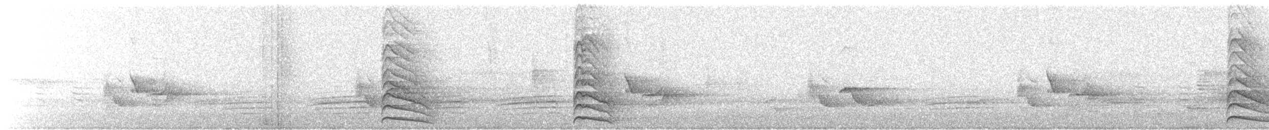 Yellow-bellied Sapsucker - ML171504181