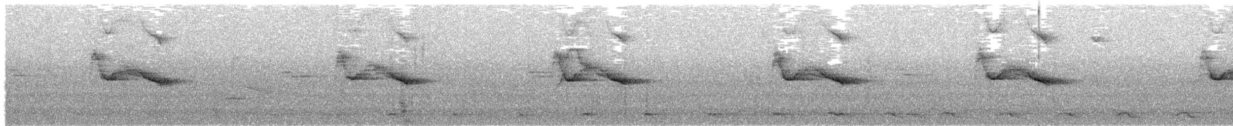 Crested Eagle - ML171507441