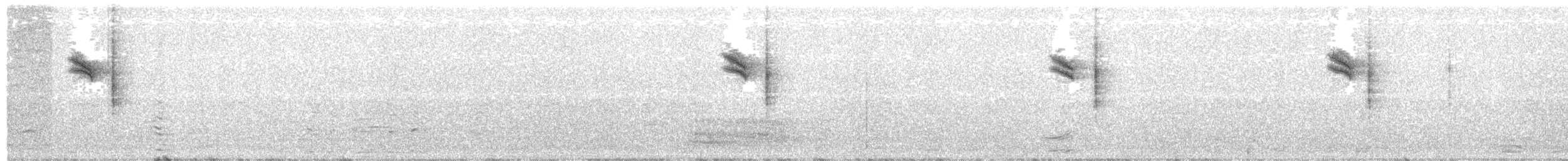 Spotted Flycatcher (Mediterranean) - ML171526291
