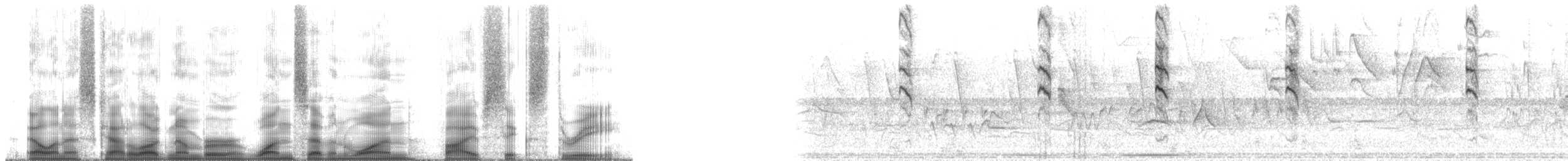 busktanagarspurv (argentinus) - ML171563