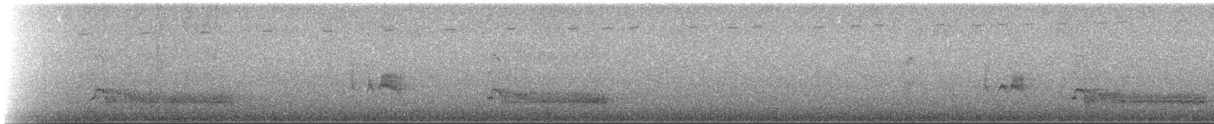Steller Kargası [diademata grubu] - ML171595921