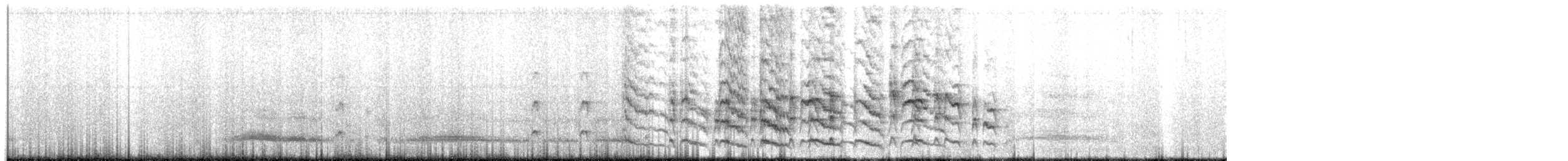 Cassinkönigstyrann - ML171598461