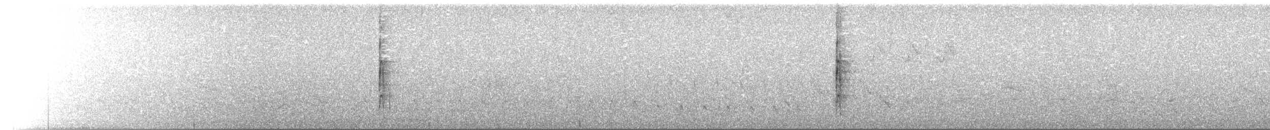strakapoud proužkohřbetý - ML171599601