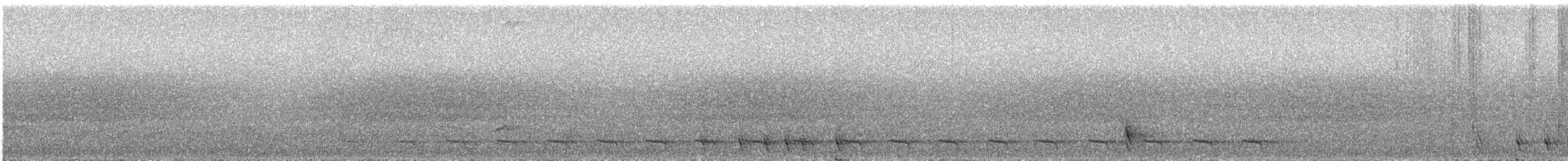 Черноголовый трогон - ML171602551