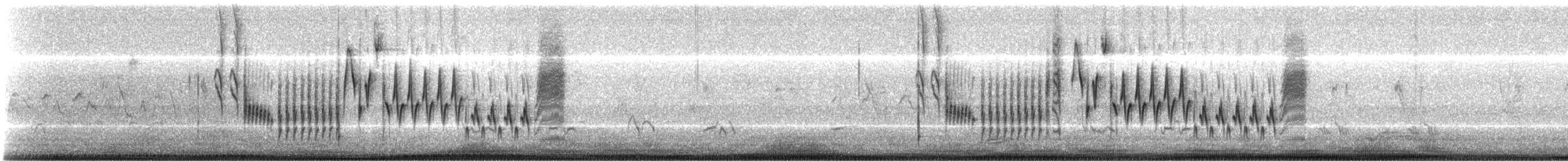 Troglodyte familier (groupe aedon) - ML171605781
