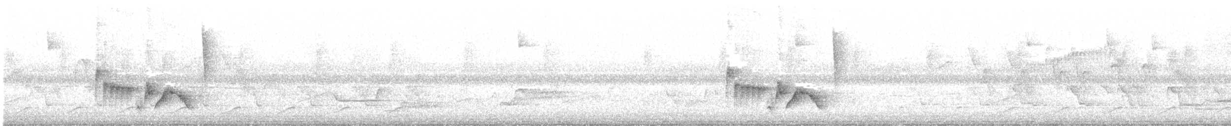 Viréo aux yeux blancs - ML171657551