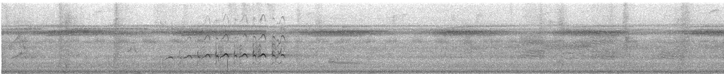 Swallow-tailed Kite - ML171686781