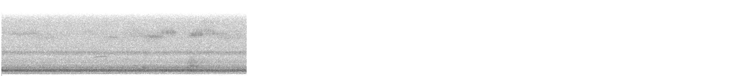 Swainson's Thrush - ML171722081