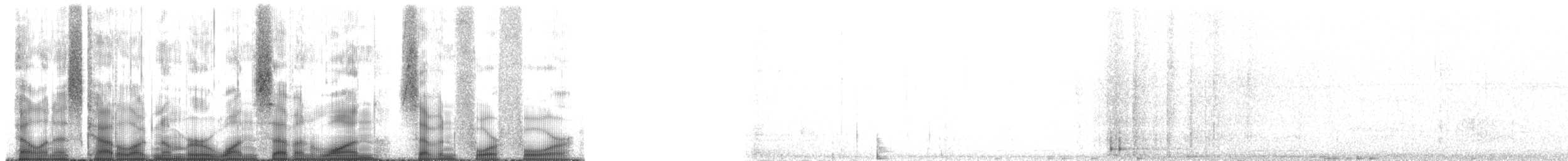 Weißmantelspecht - ML171744
