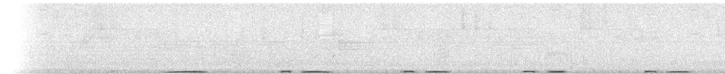 holub pruhoocasý - ML171751351