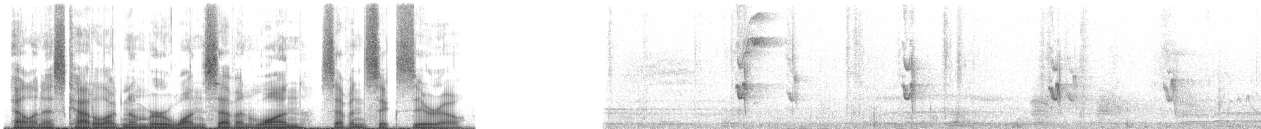 Graustirn-Dickichtschlüpfer - ML171760
