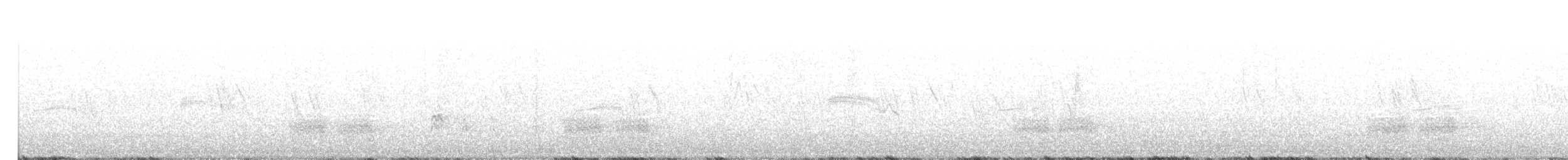 Kiefernhäher - ML171763801