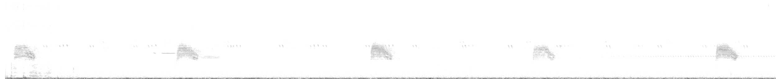 Common Nighthawk - ML171803001