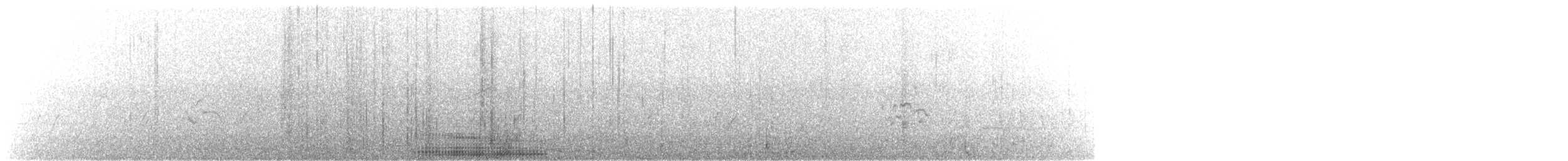 Australian Pelican - ML171816431