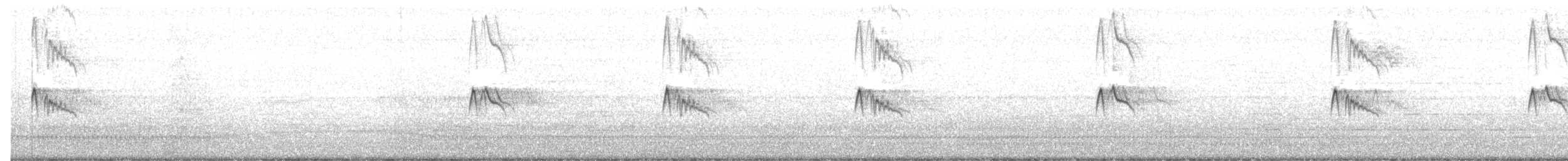 svartfibi (nigricans gr.) - ML171817141