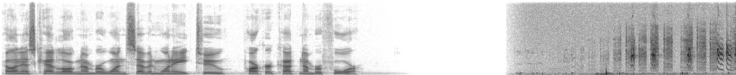 Braunrücken-Spottdrossel - ML17182