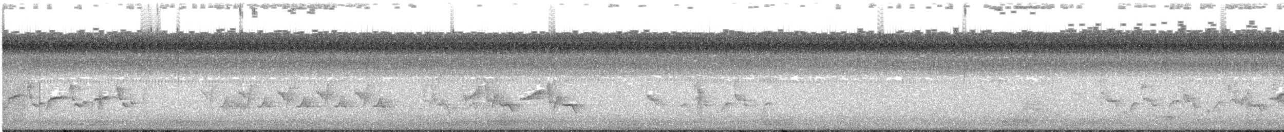 Каролинский крапивник - ML171844571