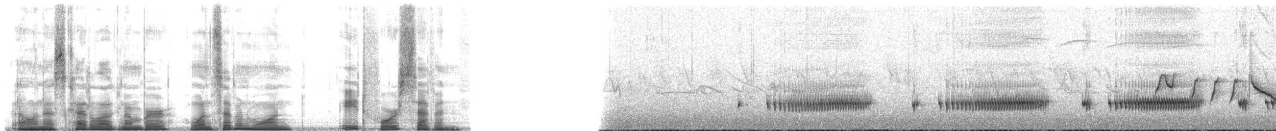 juninmaurpitta - ML171847