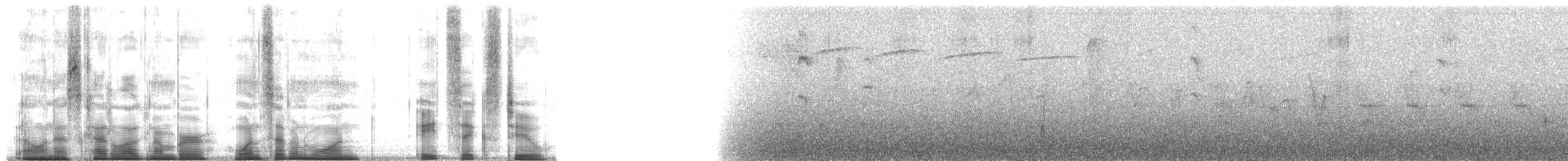 Дзьоган смугасточеревий - ML171862