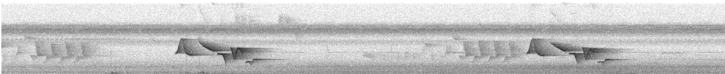 Поплітник плямистий - ML171862511