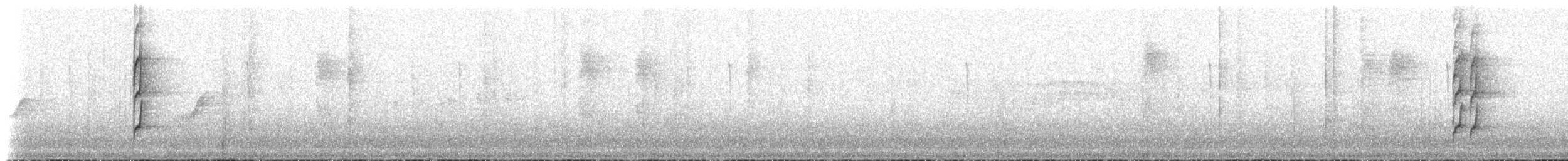White-throated Spadebill - ML171898761