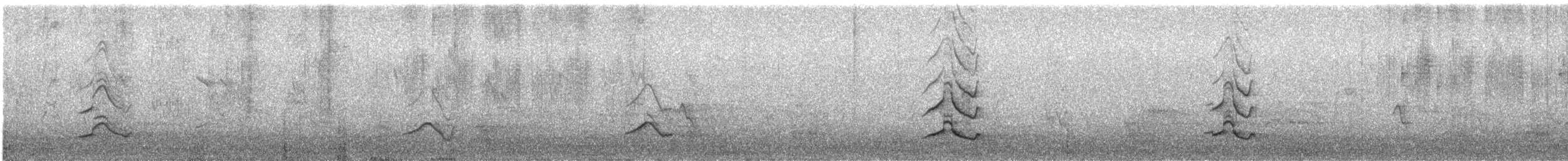 Черноголовый толстонос - ML171953411