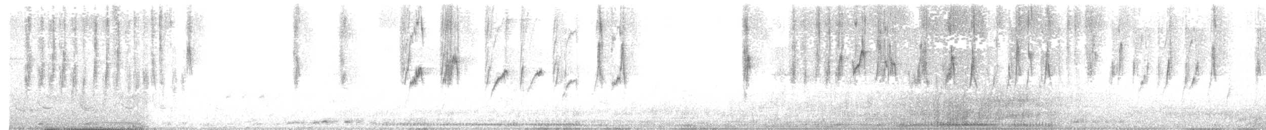 Атласная нектарница - ML171964381