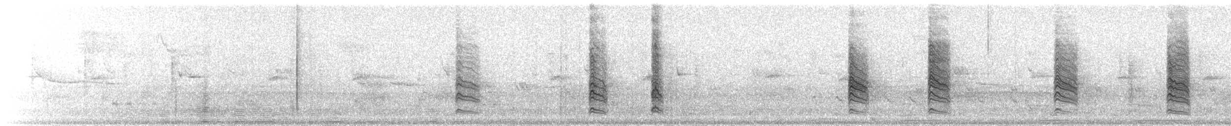 ベルモズモドキ（pusillus） - ML172021381