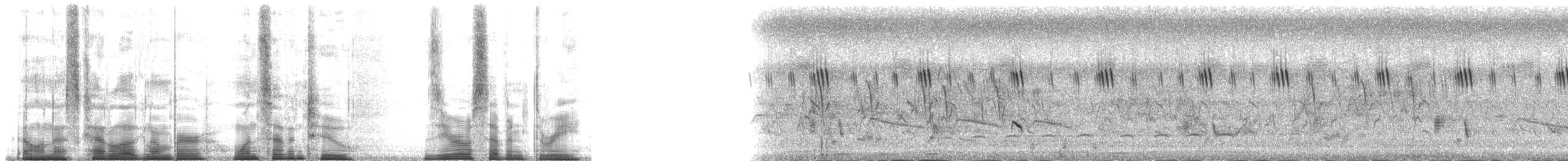 スリランカサンショウクイ - ML172073