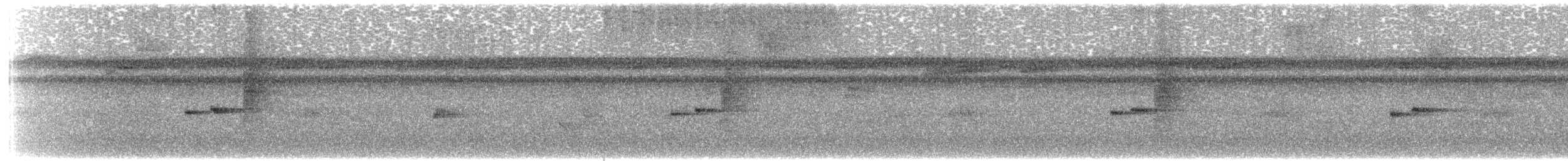 Riperyan Çıtkuşu - ML172090031