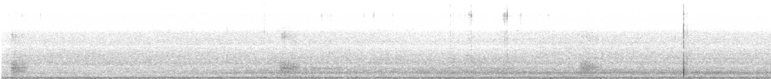 斑背潛鴨 - ML172093981