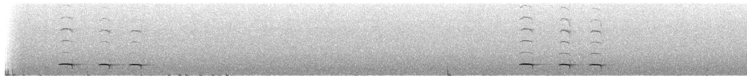 Weißflecken-Ameisenpitta - ML172115001