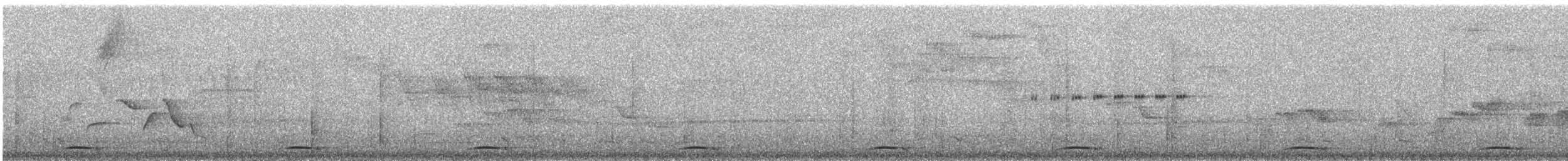 holub kostarický - ML172160061
