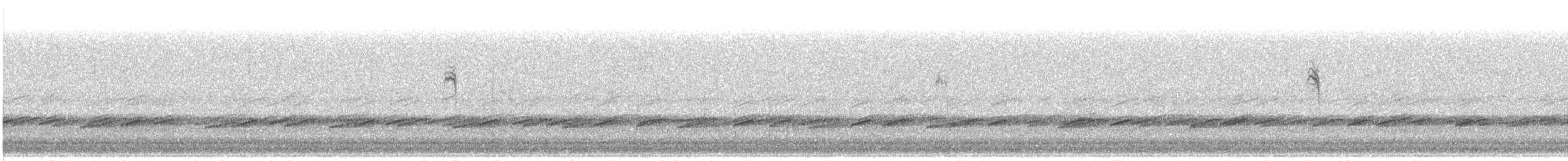 Palm Warbler - ML172185141