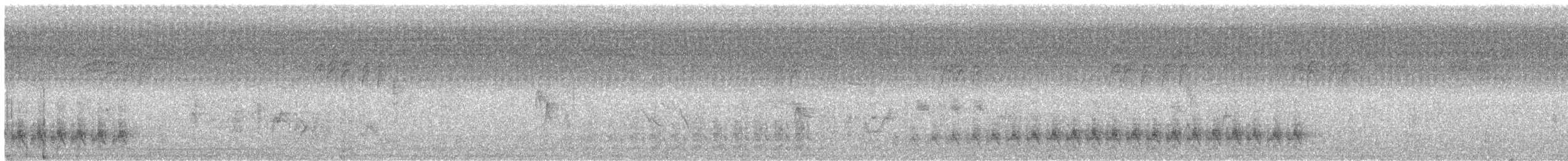 Кактусовый крапивник - ML172257871