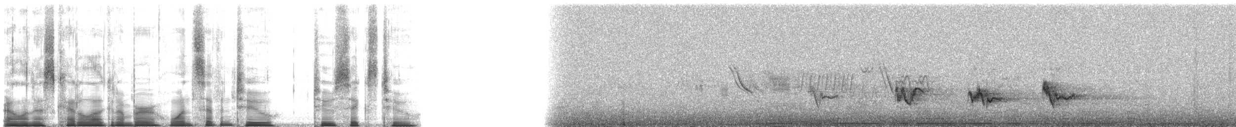 Тёмный мухолов - ML172262