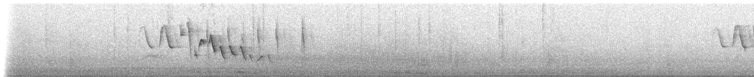 gulparula (aureola) - ML172336381
