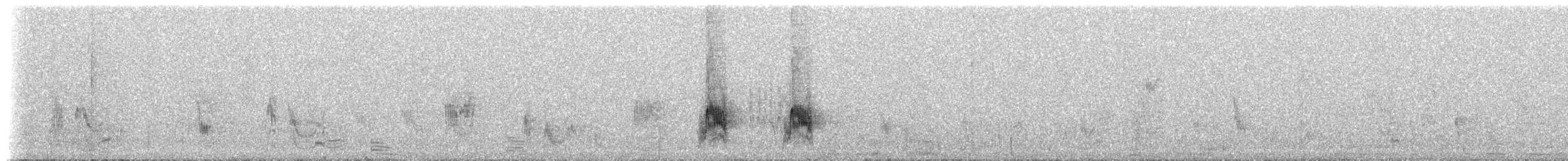 Дятловый дарвинов вьюрок (striatipecta) - ML172341321