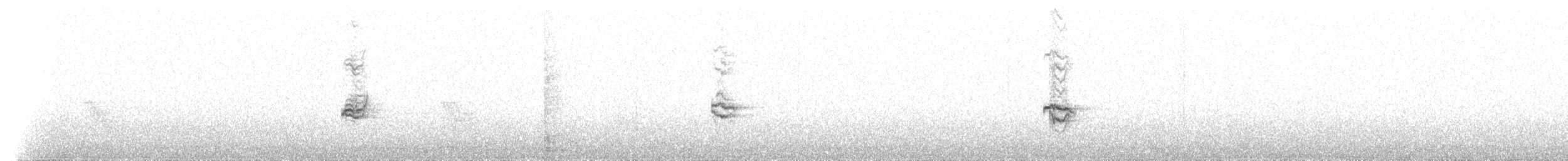Galápagosspottdrossel - ML172346111