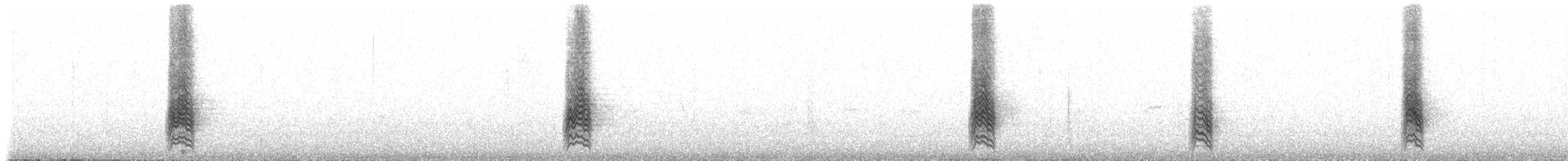 Galápagosspottdrossel - ML172346301