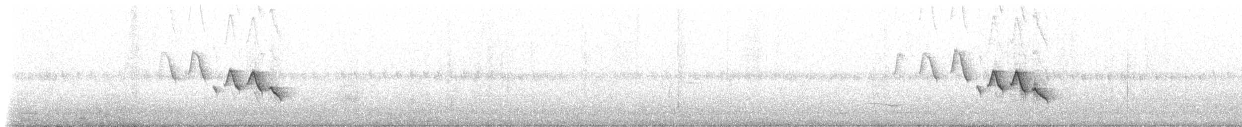 Мангровая древесница (aureola) - ML172346631